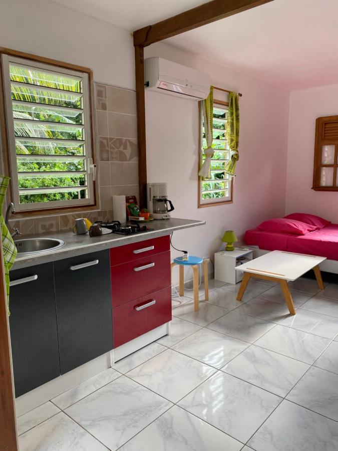 Les Gites Du Sud - O Naturel Gourbeyre Dış mekan fotoğraf
