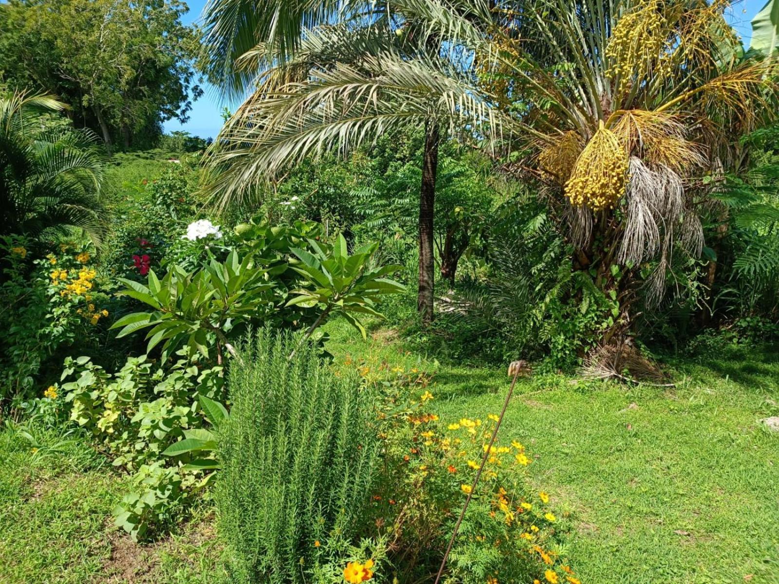 Les Gites Du Sud - O Naturel Gourbeyre Oda fotoğraf